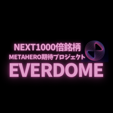 NEXT1000倍銘柄！METAHEROの期待度∞のプロジェクトEVERDOMEについて詳しく解説！